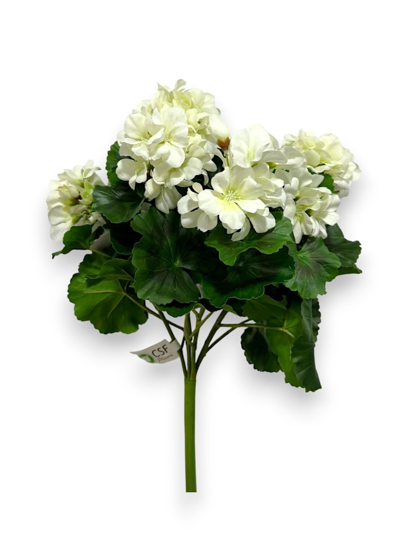 GERANIUM BUSH 17"