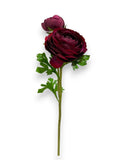 RANUNCULUS X2F 22"