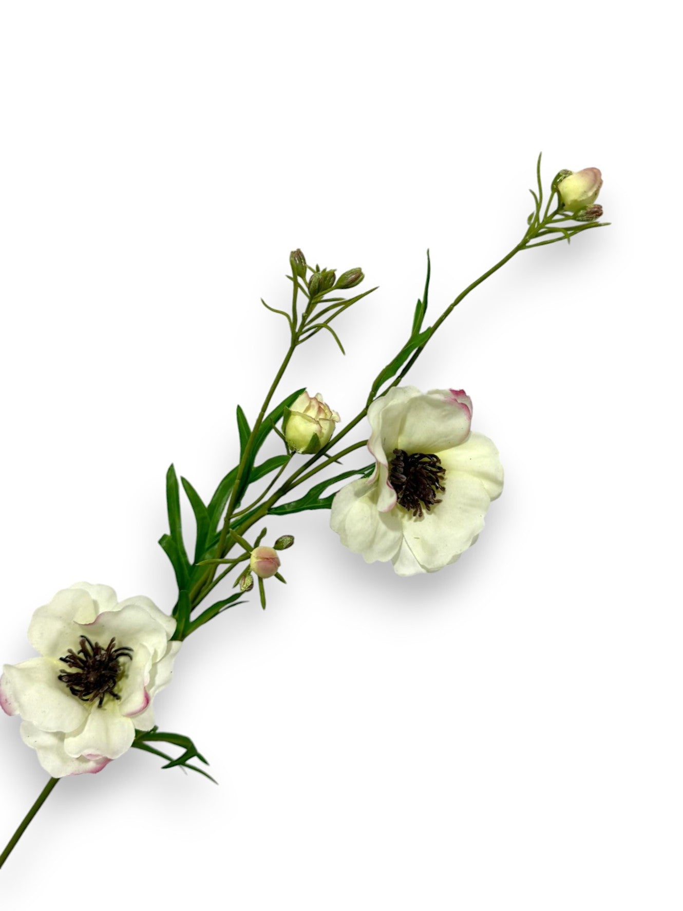 BUTTTERFLY RANUNCULUS SPRAY