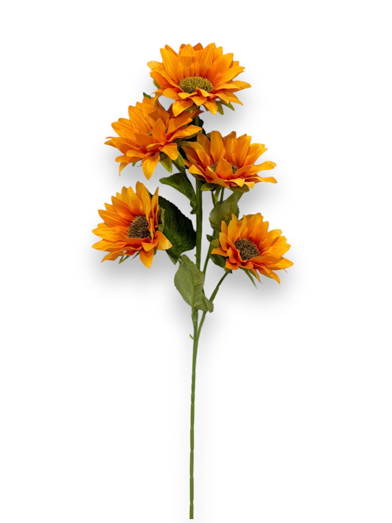 SUNFLOWER STEM X5