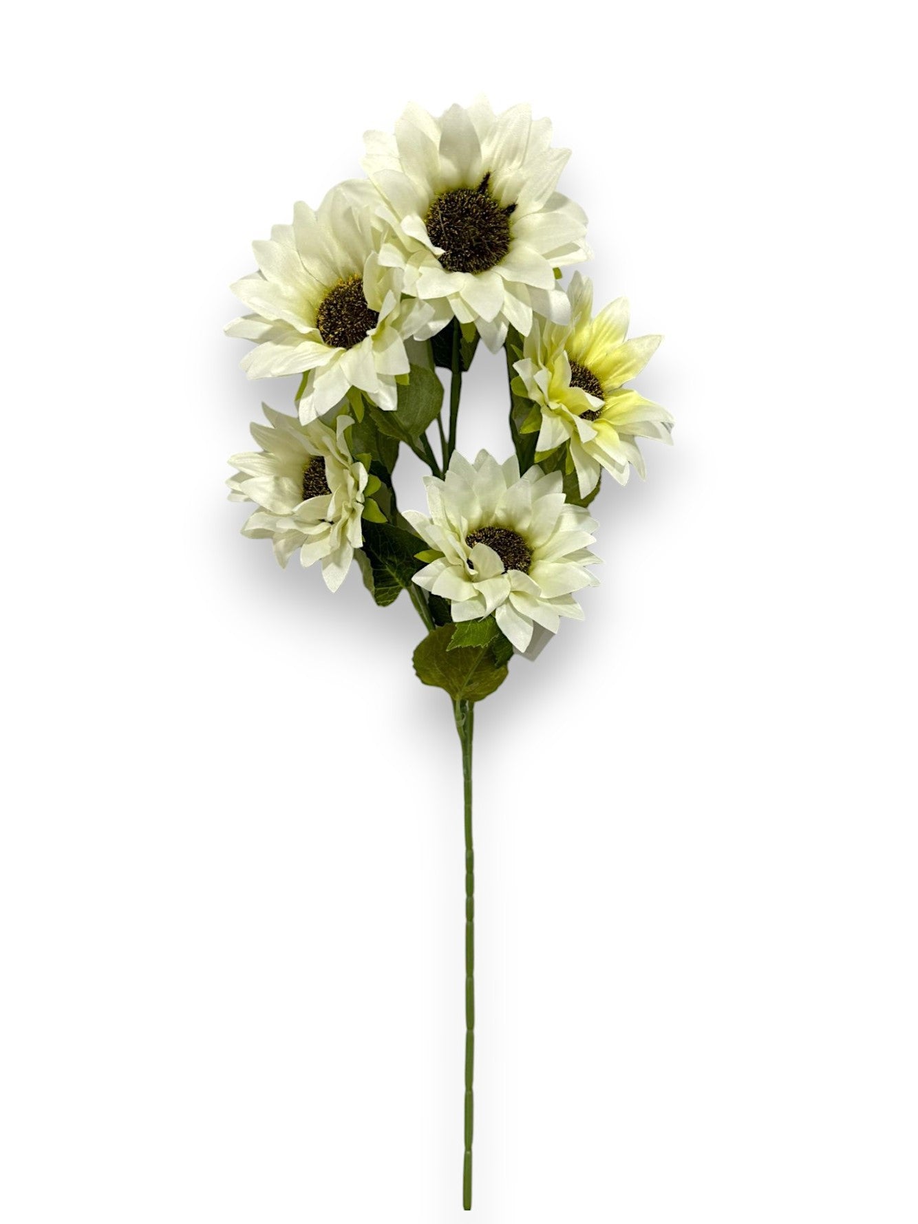 SUNFLOWER STEM X5
