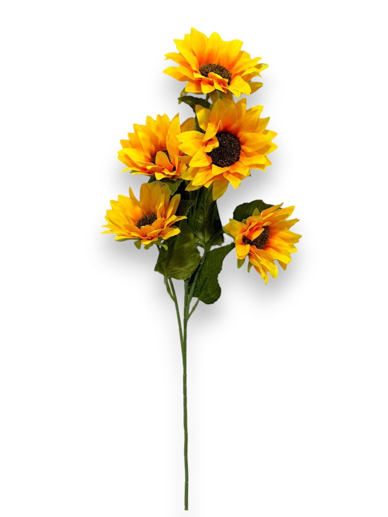SUNFLOWER STEM X5