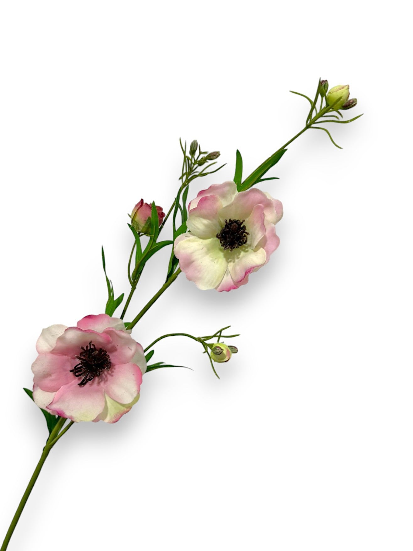 BUTTTERFLY RANUNCULUS SPRAY