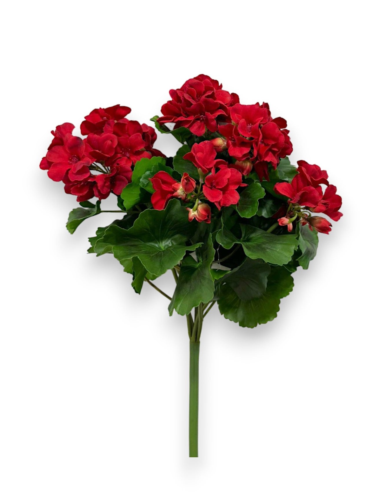 GERANIUM BUSH 17"