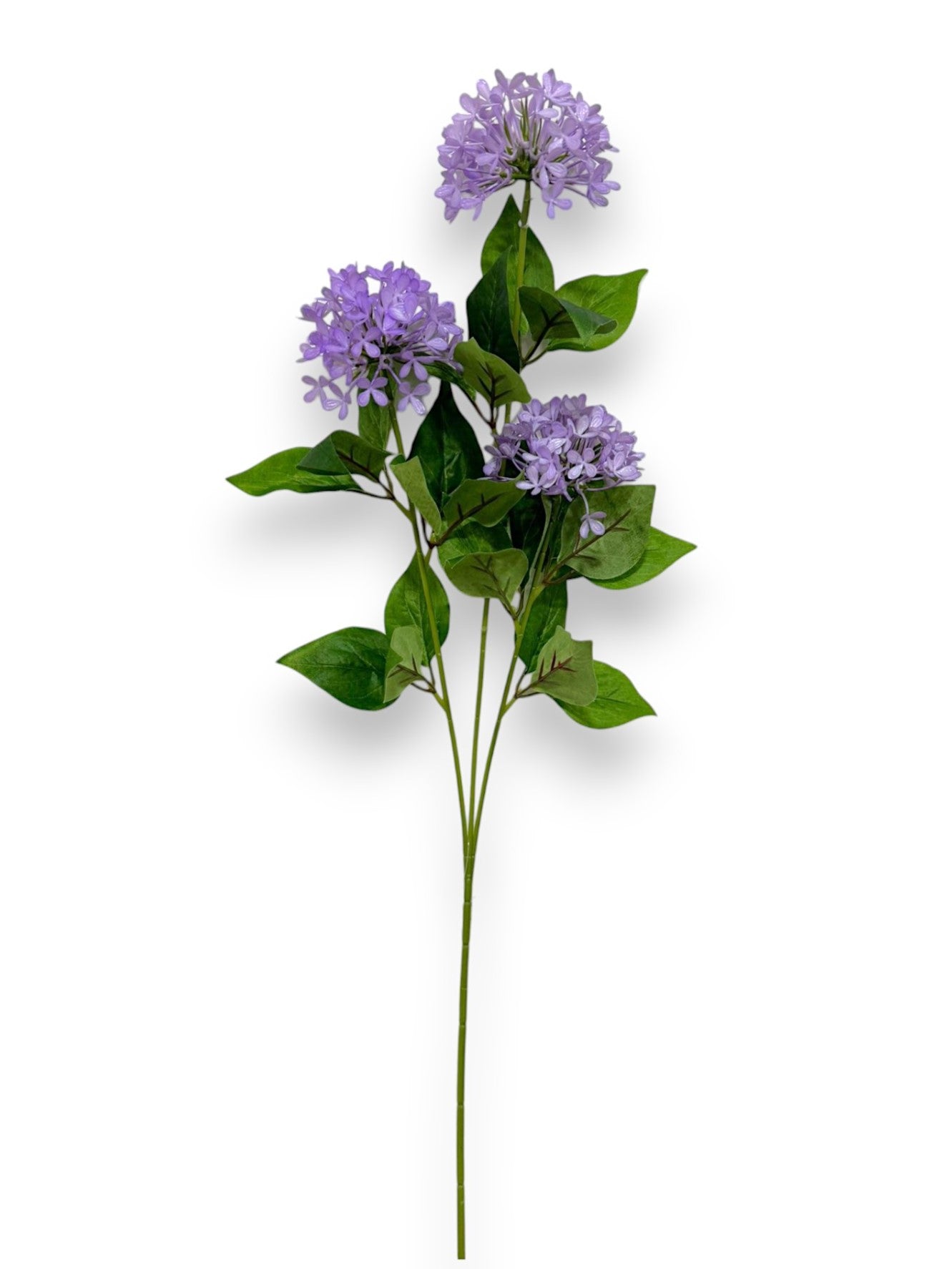MINI HYDRANGEA X3