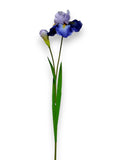 IRIS L 37"