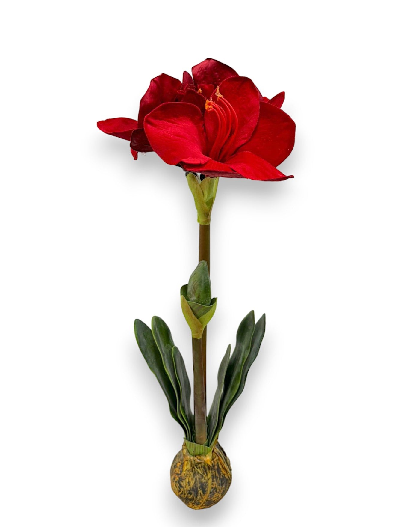 AMARYLLIS TOPPER 25"