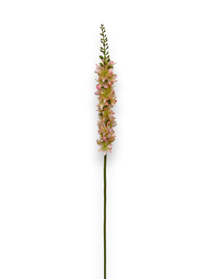 FOXTAIL LILY S 23"