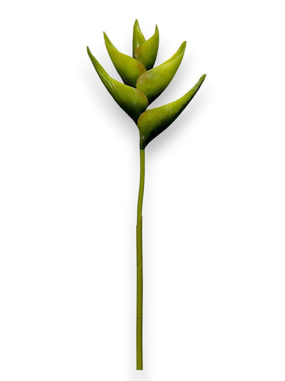 HELICONIA STEM 36"