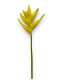 HELICONIA STEM 36"