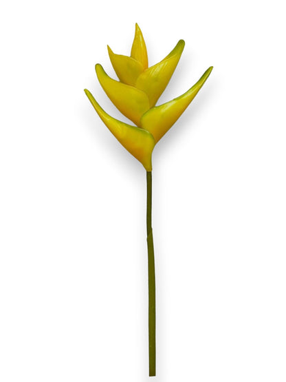 HELICONIA STEM 36"