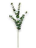 ROUND EUCALYPTUS SPRAY 39"