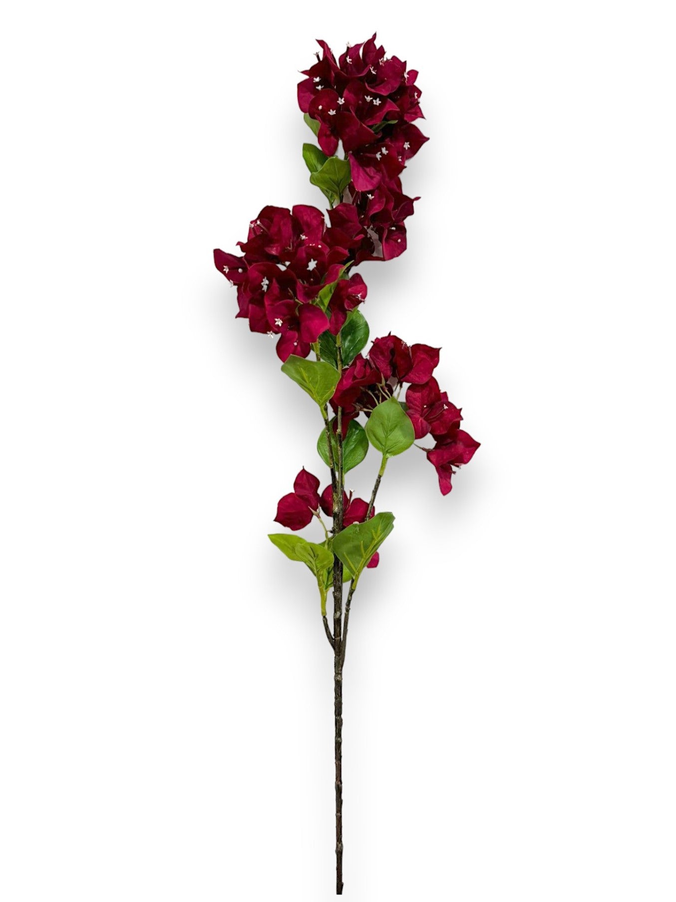 BOUNGAINVILLEA SPRAY 38"
