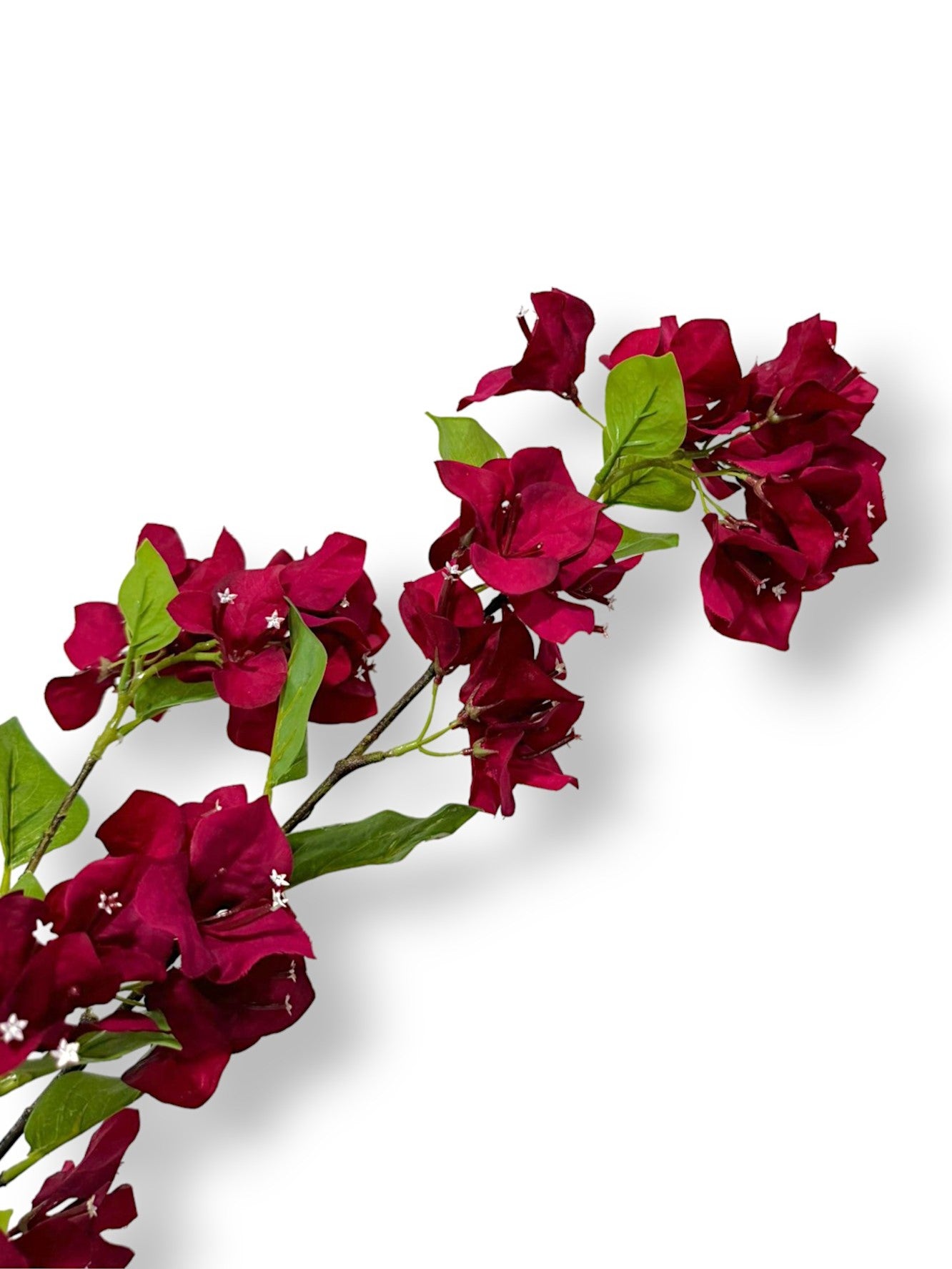 BOUNGAINVILLEA SPRAY 38"