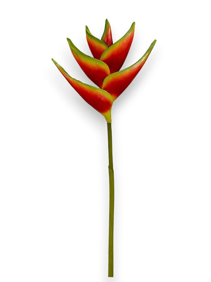 HELICONIA STEM 36"