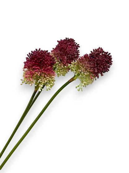 ALLIUM BULLET X3 21"