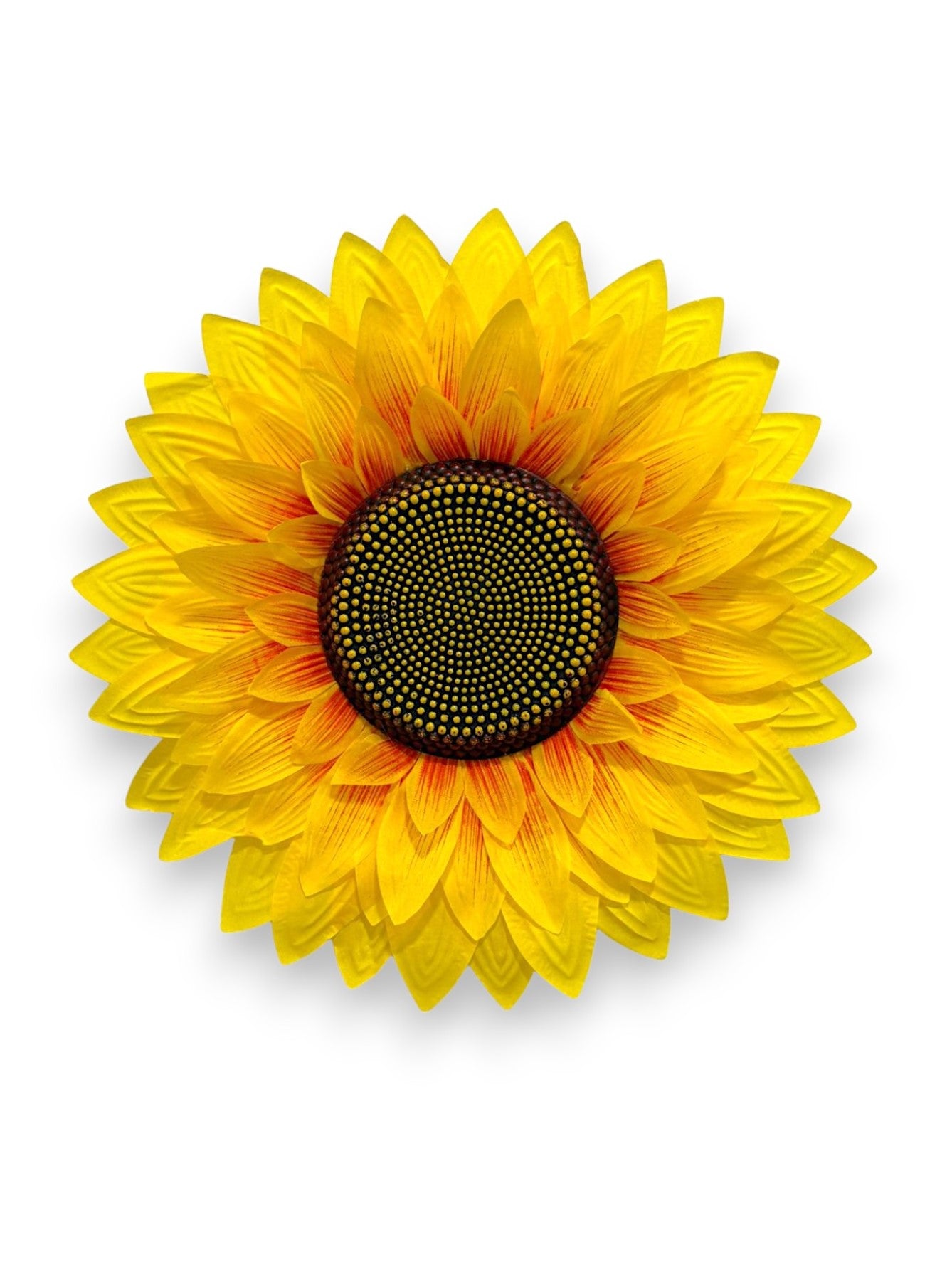 SUNFLOWER HEAD
