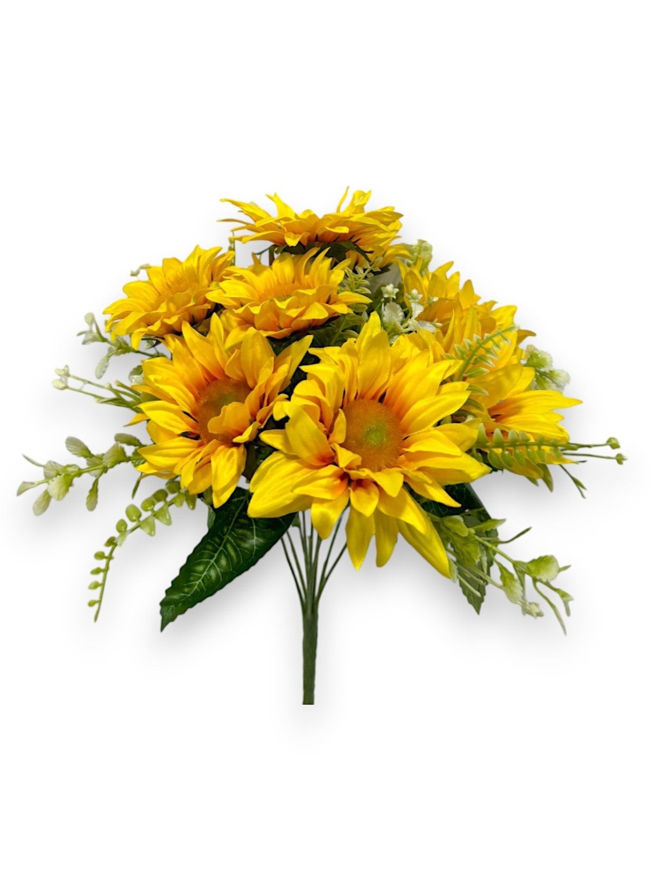 DAISY BUSH X9