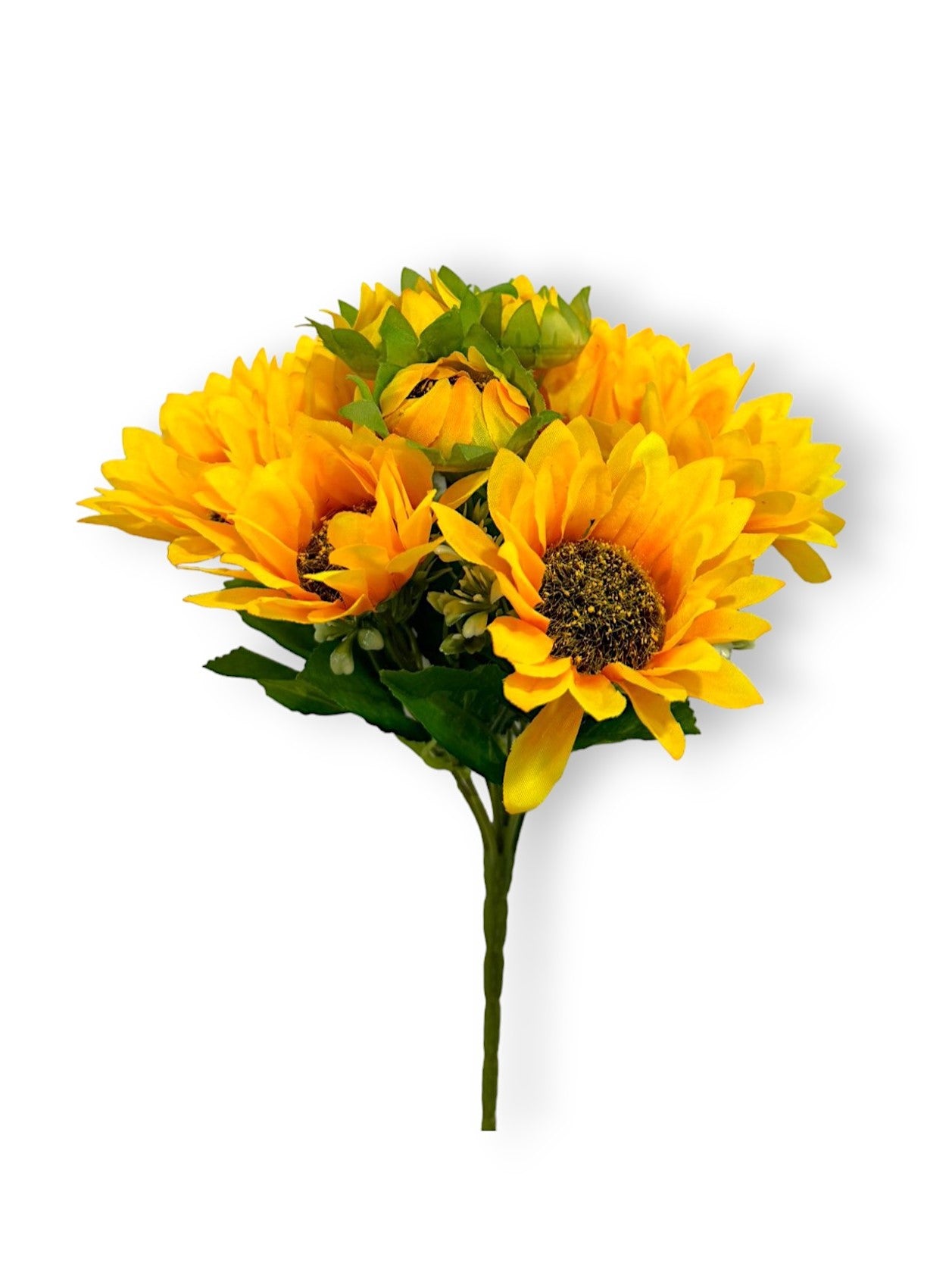 MINI SUNFLOWER BUSH