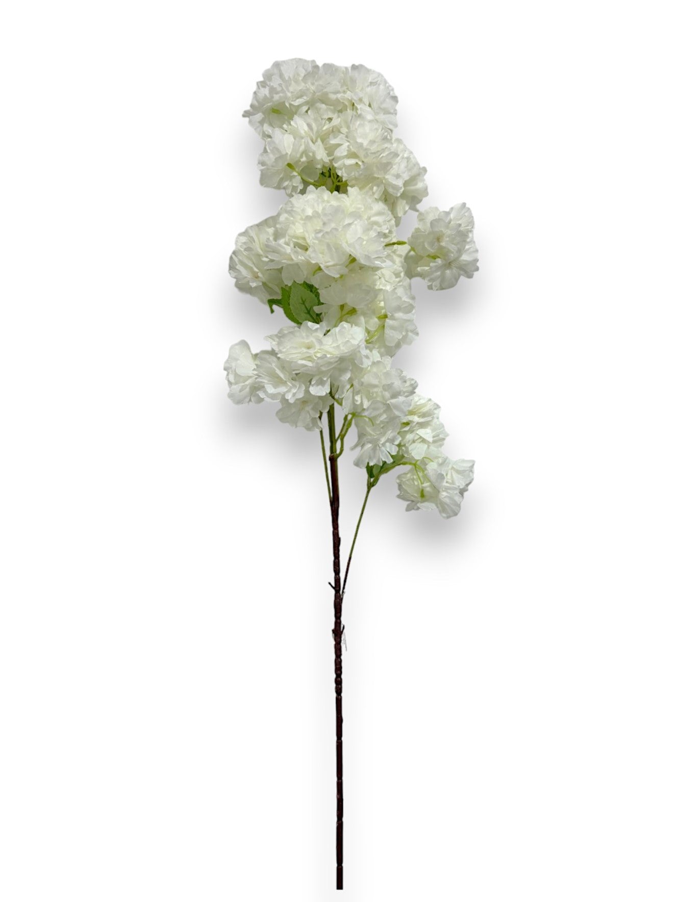 CHERRY BLOSSOM SPRAY
