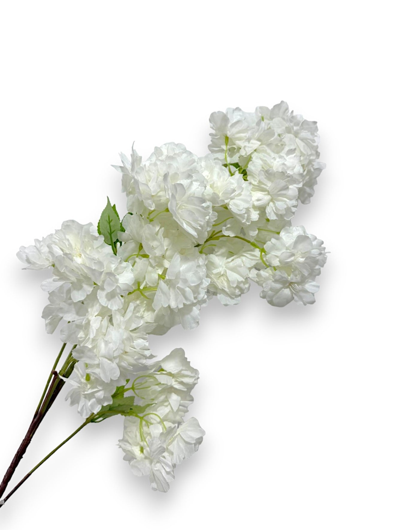 CHERRY BLOSSOM SPRAY