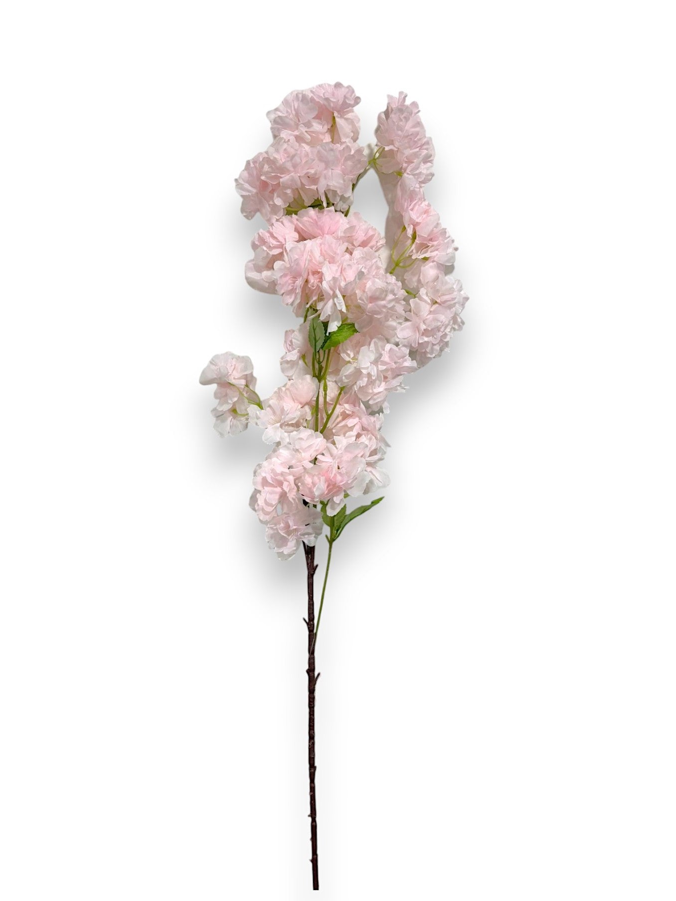 CHERRY BLOSSOM SPRAY