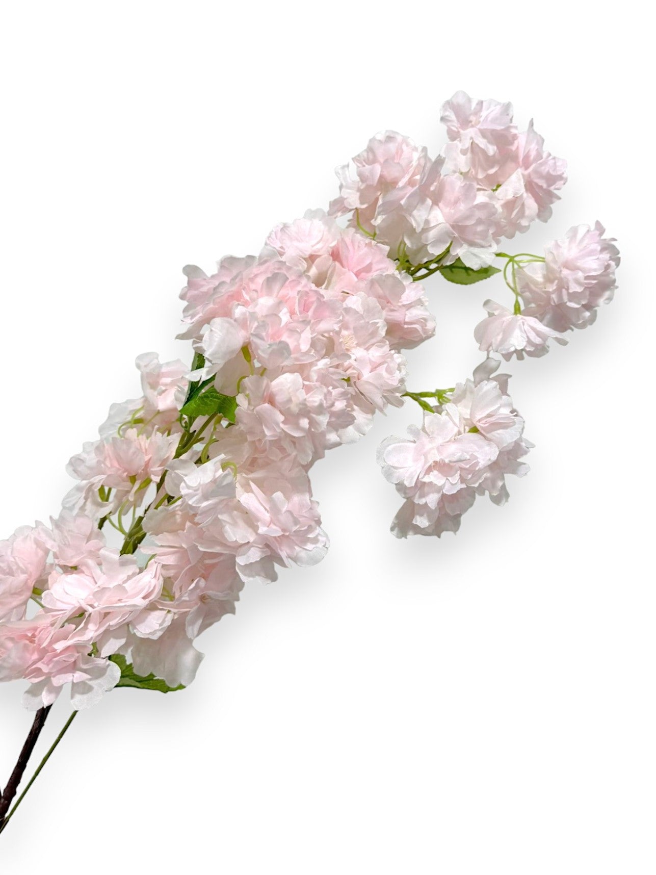 CHERRY BLOSSOM SPRAY