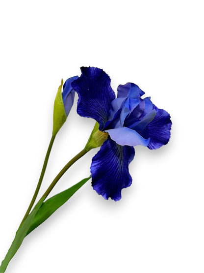 IRIS S 29"