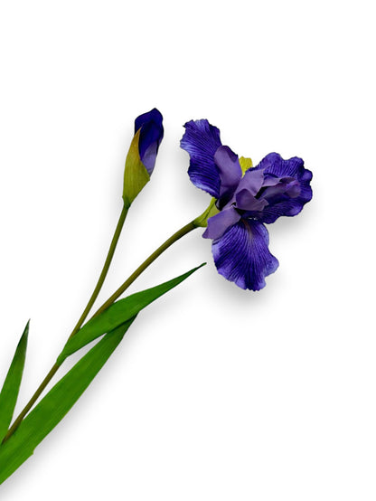 IRIS S 29"