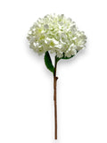 RUSTIC HYDRANGEA