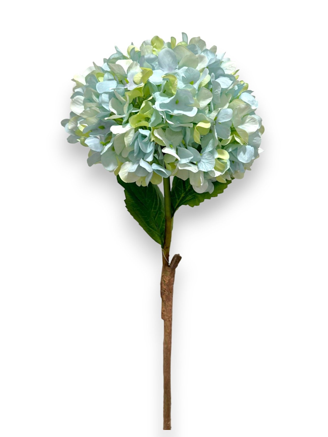 RUSTIC HYDRANGEA