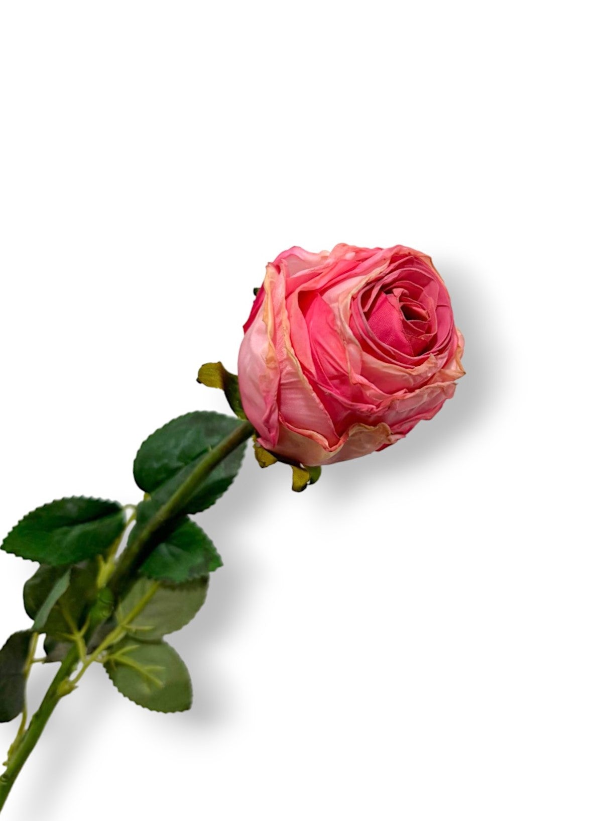 ROSE BUD DRIED LOOK