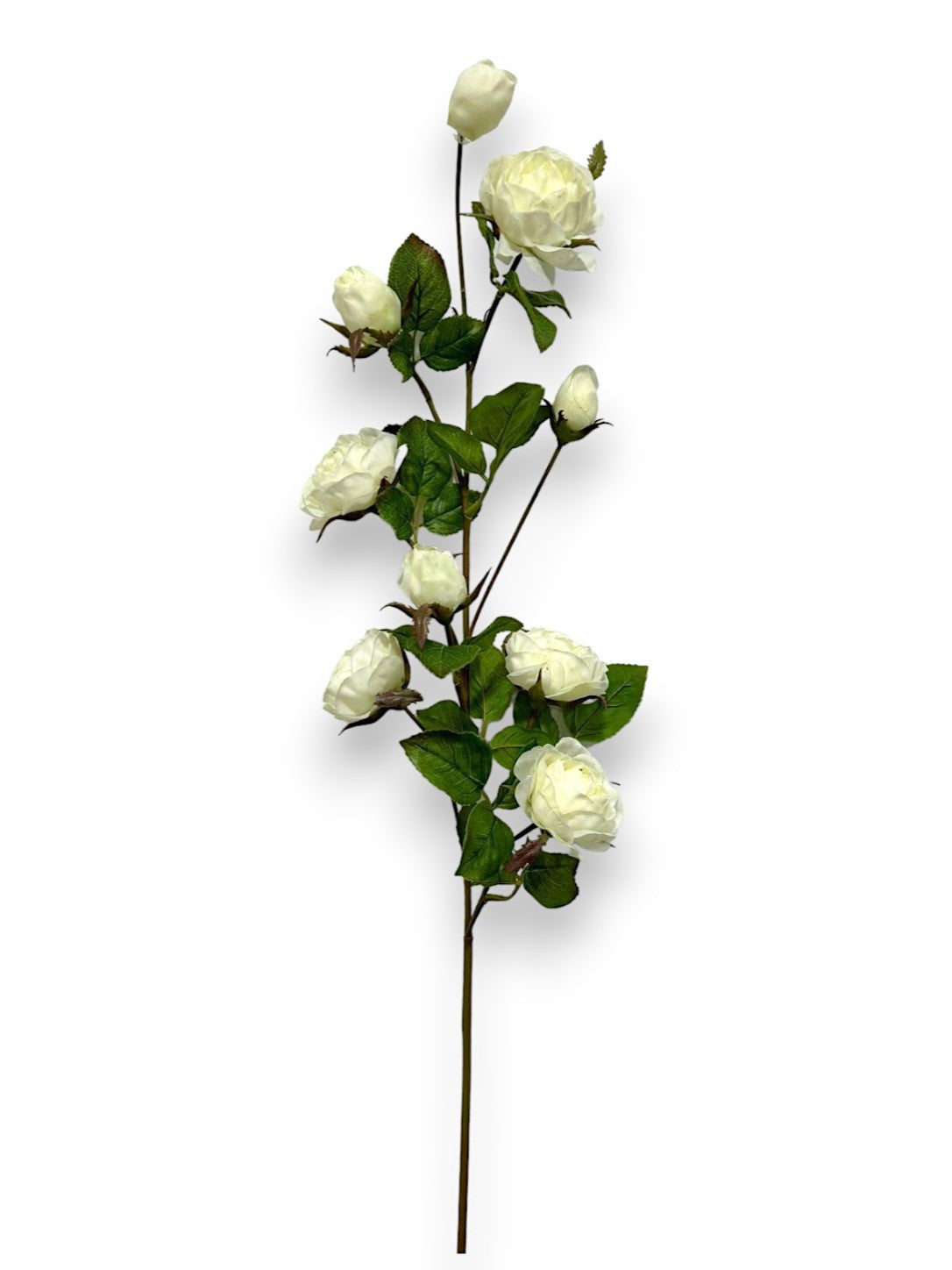 ROSE BRANCH 37" NAT. TOUCH