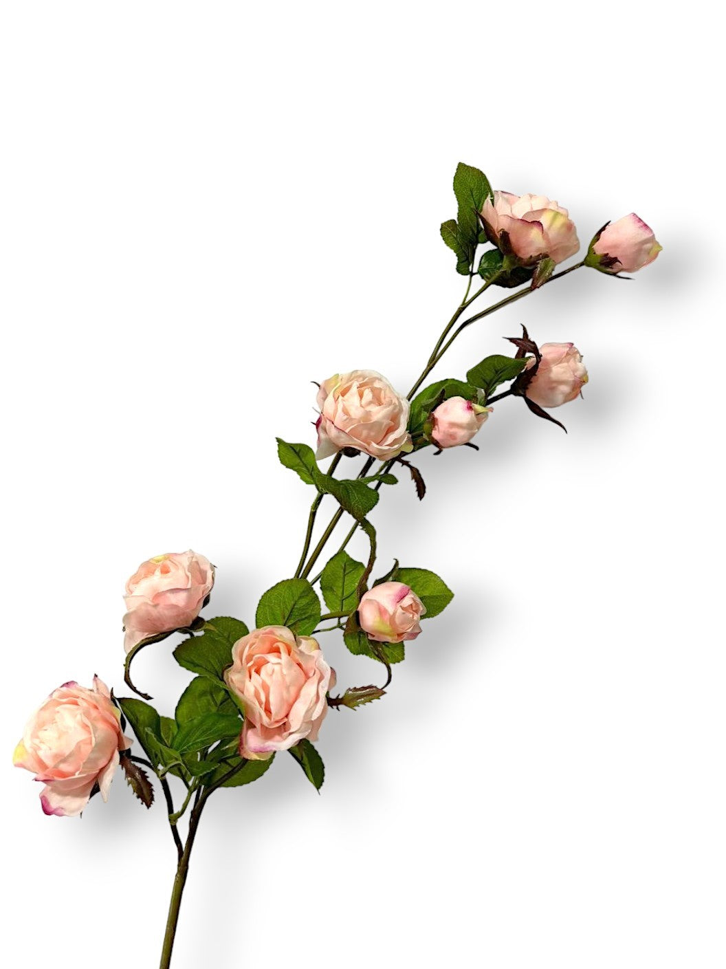ROSE BRANCH 37" NAT. TOUCH