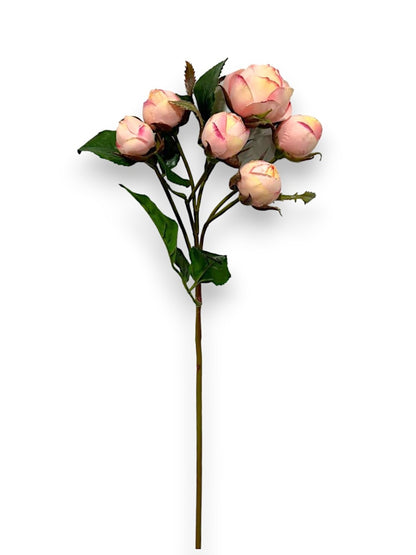 ROSE BUD X6 SPRAY 22"