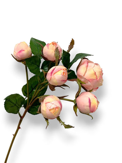 ROSE BUD X6 SPRAY 22"