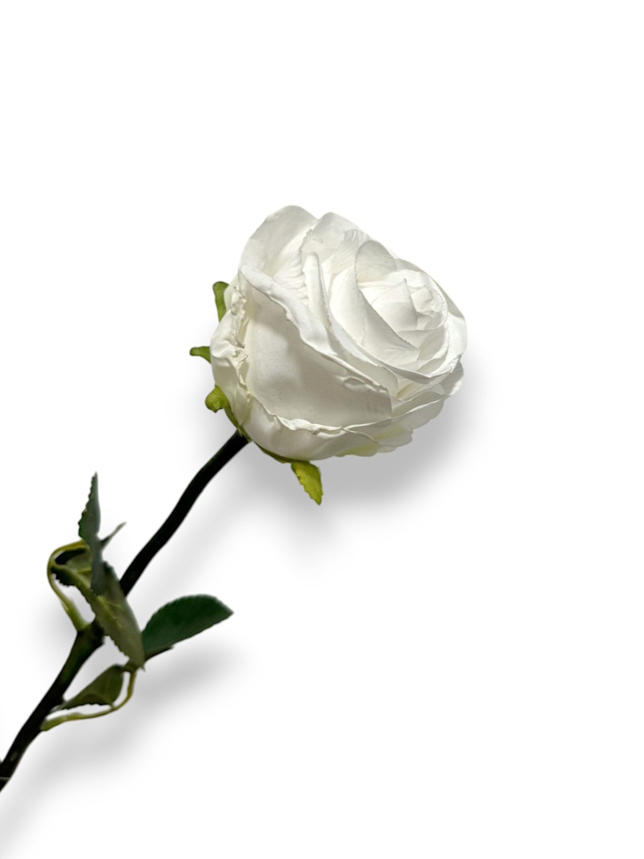 ROSE BUD DRIED LOOK