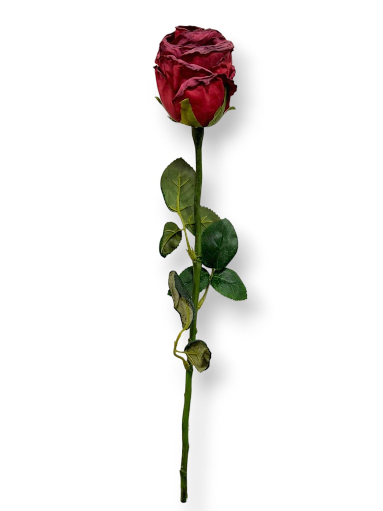ROSE BUD DRIED LOOK