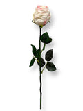 ROSE BUD DRIED LOOK