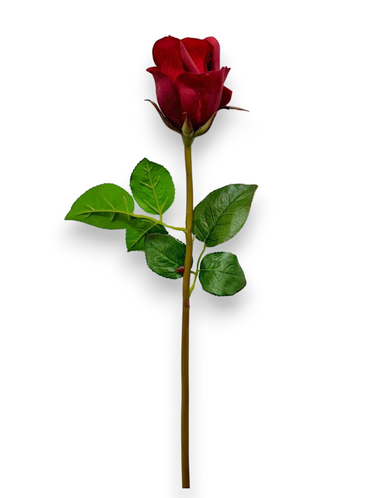 ROSE BUD STEM NAT TOUCH 23"