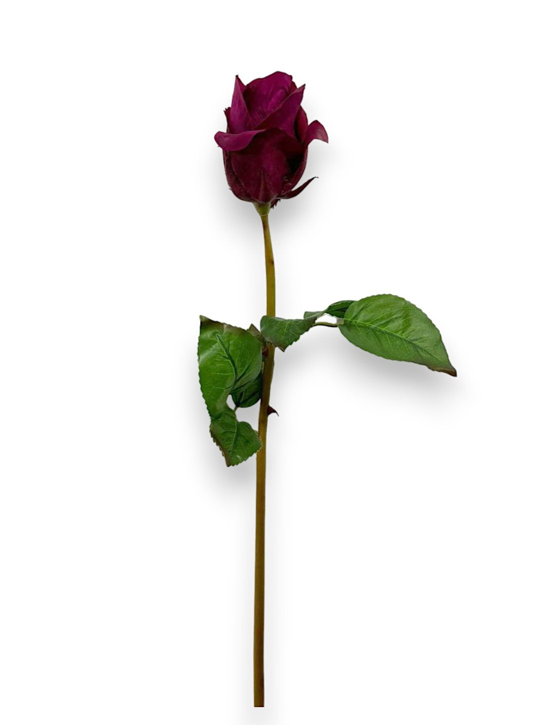 ROSE BUD STEM NAT TOUCH 23"