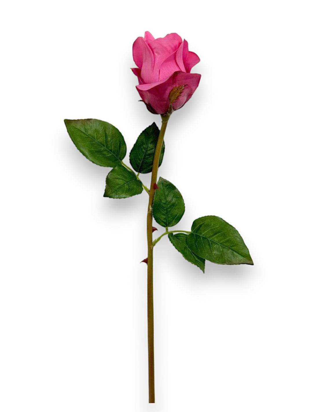 ROSE BUD STEM NAT TOUCH 23"