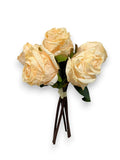 ROSE BUNDLE DRY LOOK X6