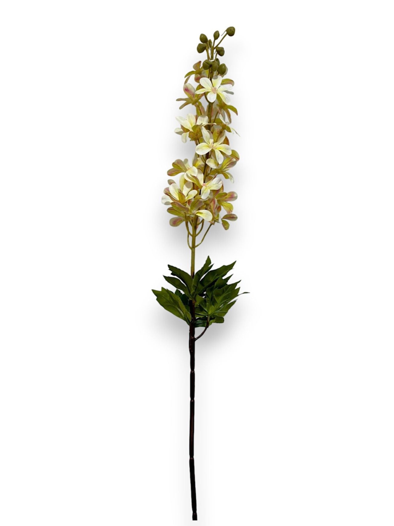 DELPHINIUM 34"