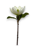 MAGNOLIA OPEN STEM 26"