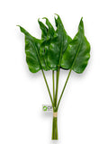 CALLA LILY LEAFX6 20"
