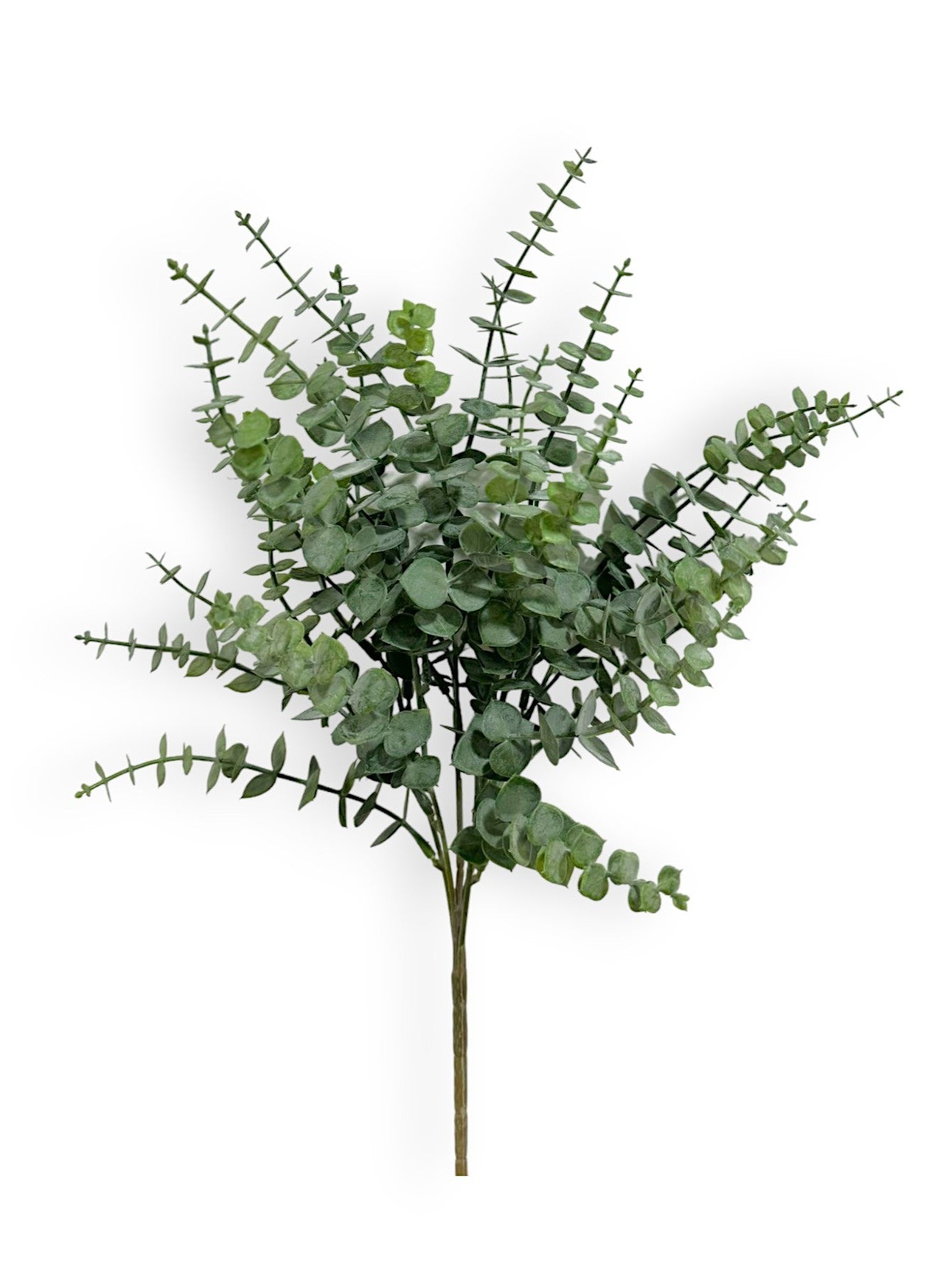 EUCALYPTUS BUSH 2PCS