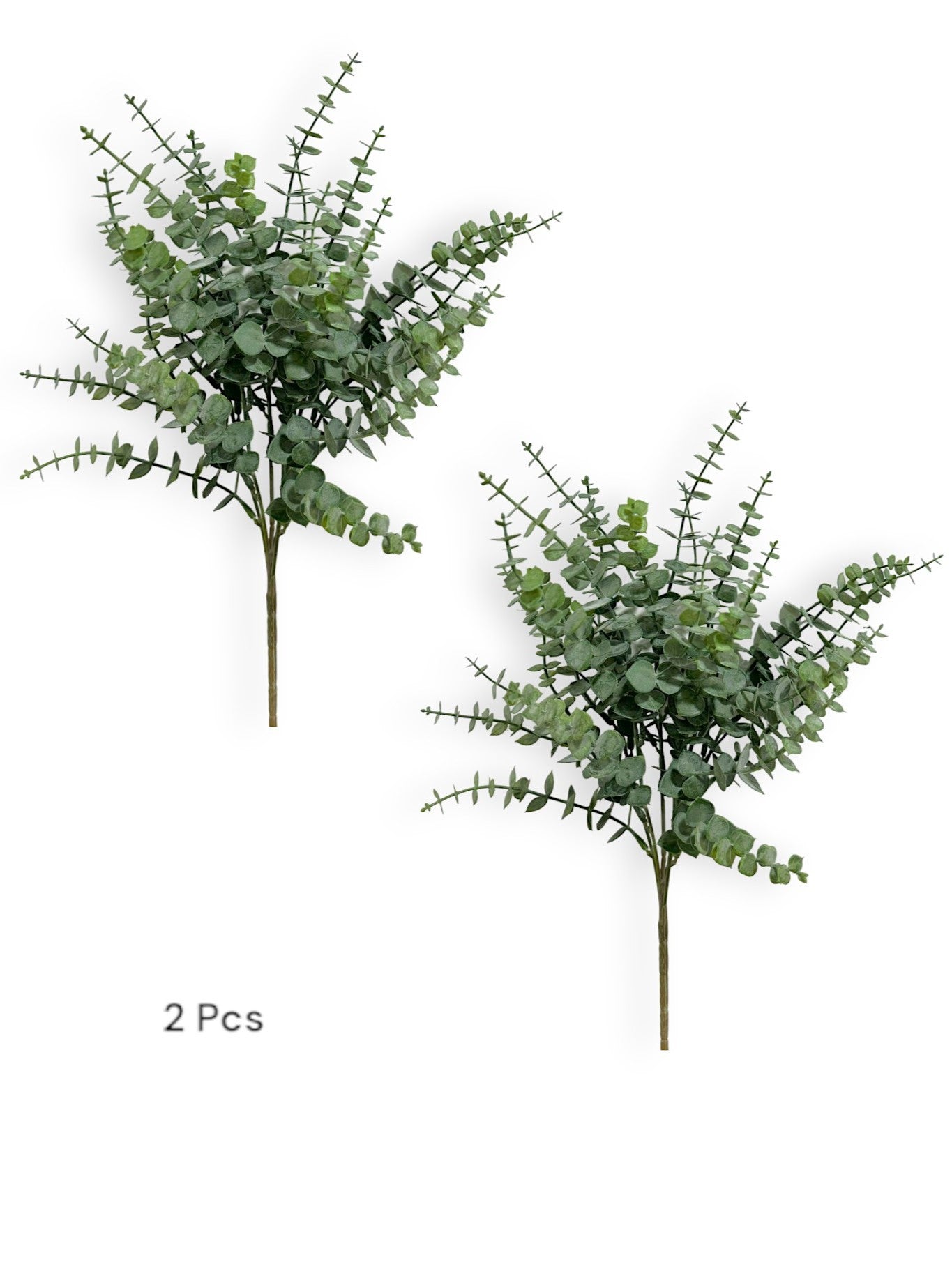 EUCALYPTUS BUSH 2PCS