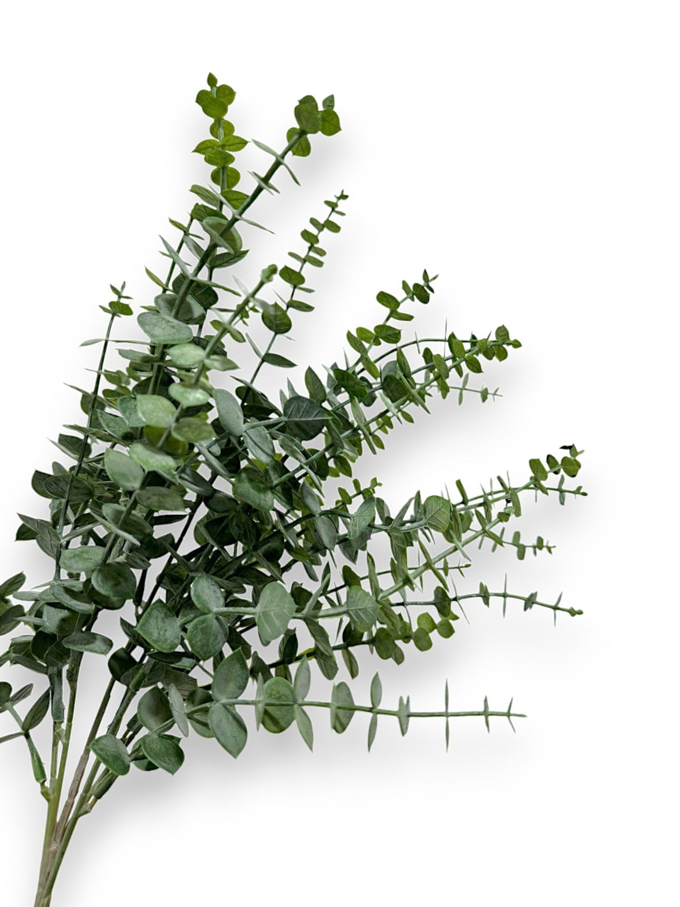 EUCALYPTUS BUSH 2PCS