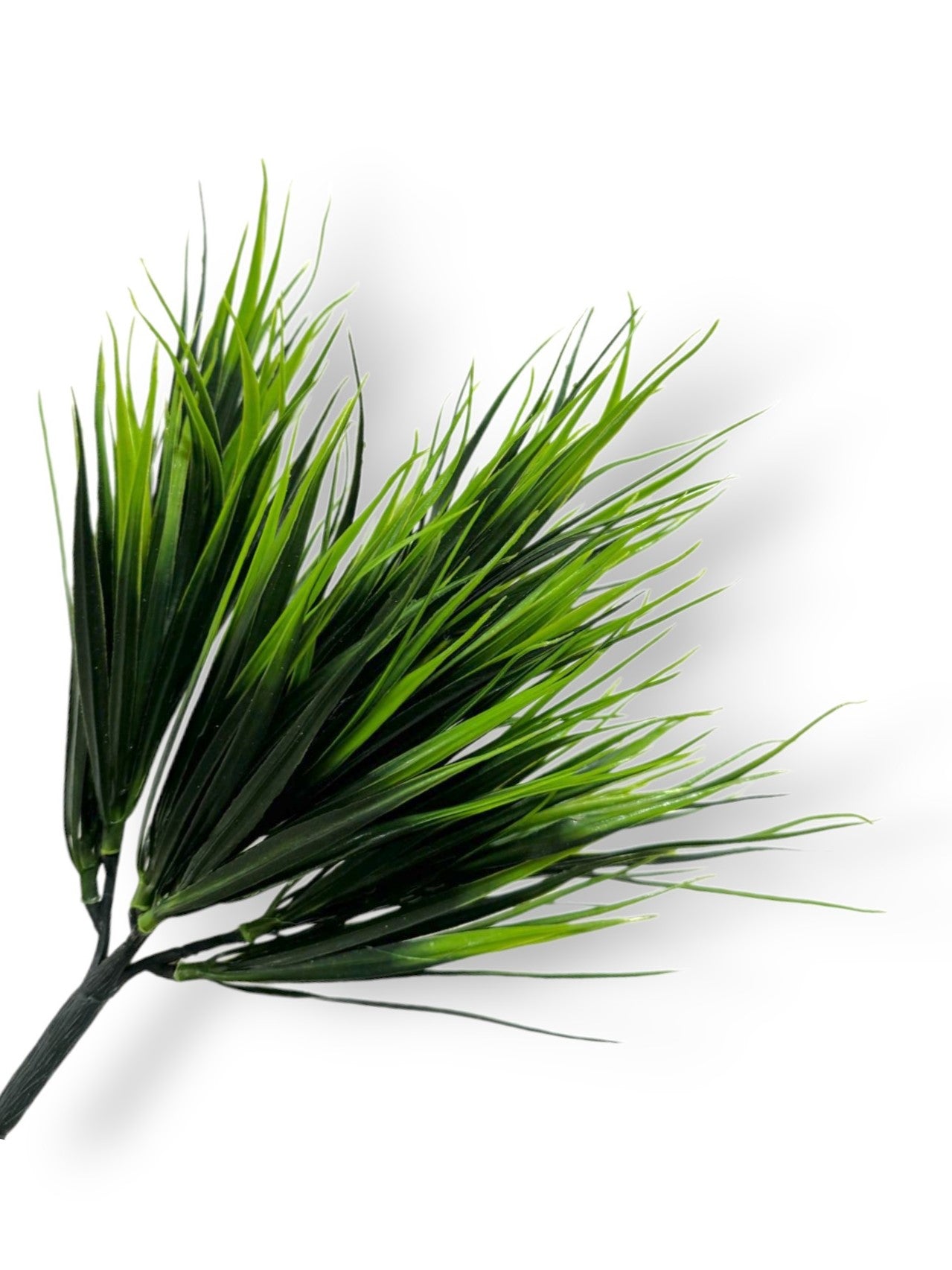 GRASS BUSH X5
